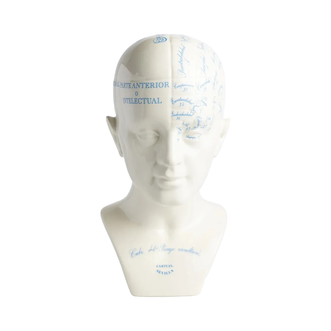 Phrenology Head