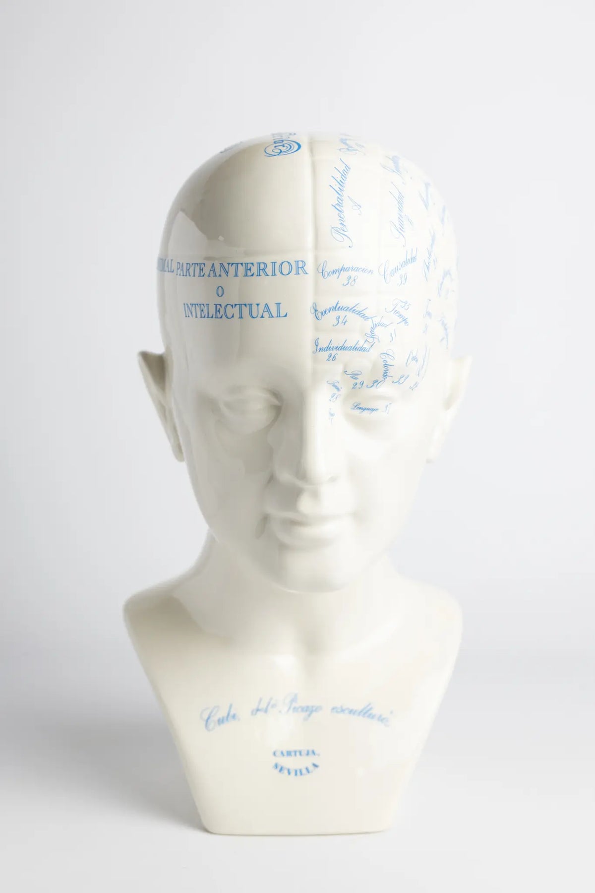 Cabeza Frenologica — La Cartuja de Sevilla